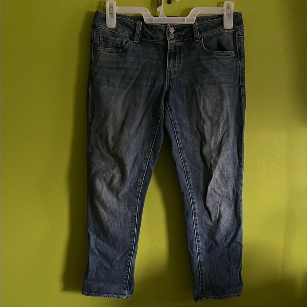 American Eagle Outfitters Stretch Cropped Artist Boyfriend Jeans Size 8